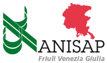 friuli anisap