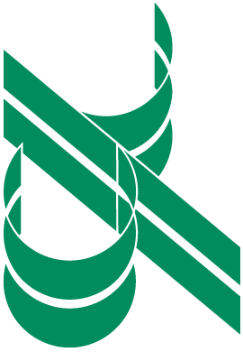 SOLO LOGO ANISAP